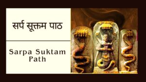 Read more about the article सर्प सूक्त पाठ | Sarpa Suktam Path | नाग सूक्त पाठ